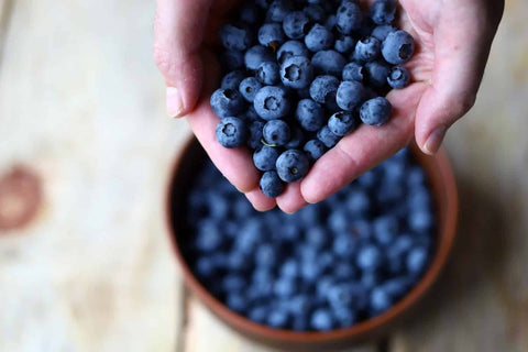 Alimente bogate in antioxidanti